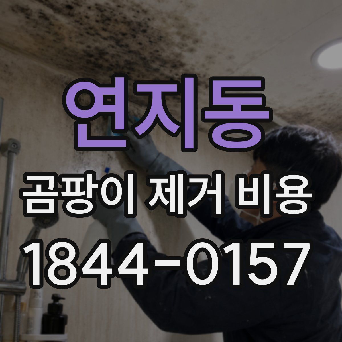 연지동 곰팡이 제거 비용