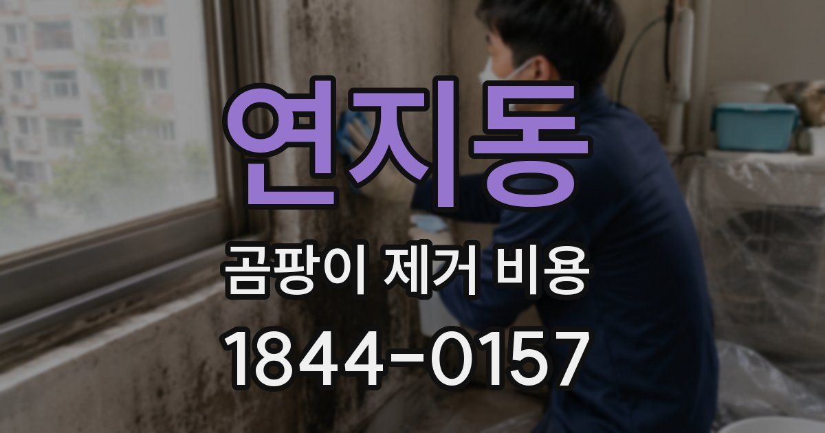연지동 곰팡이 제거 비용