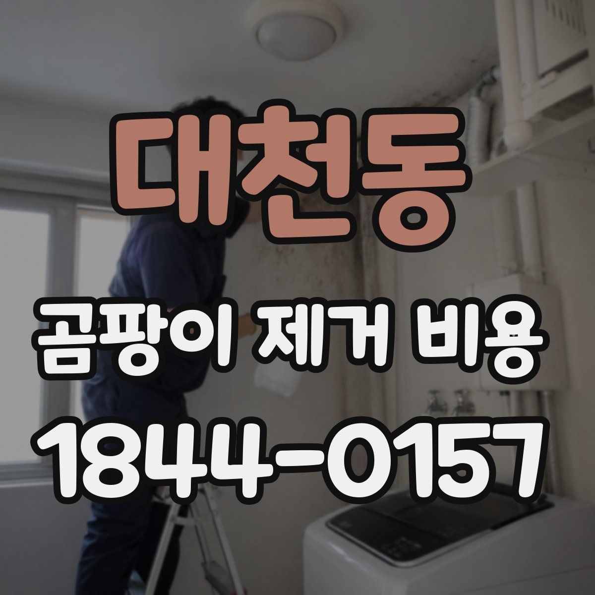 대천동 곰팡이 제거 비용