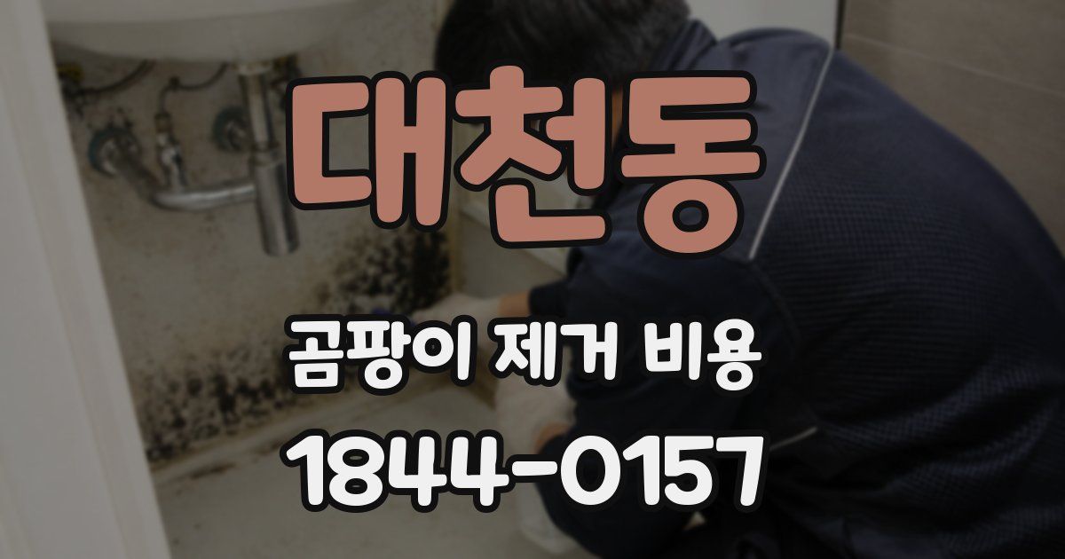 대천동 곰팡이 제거 비용