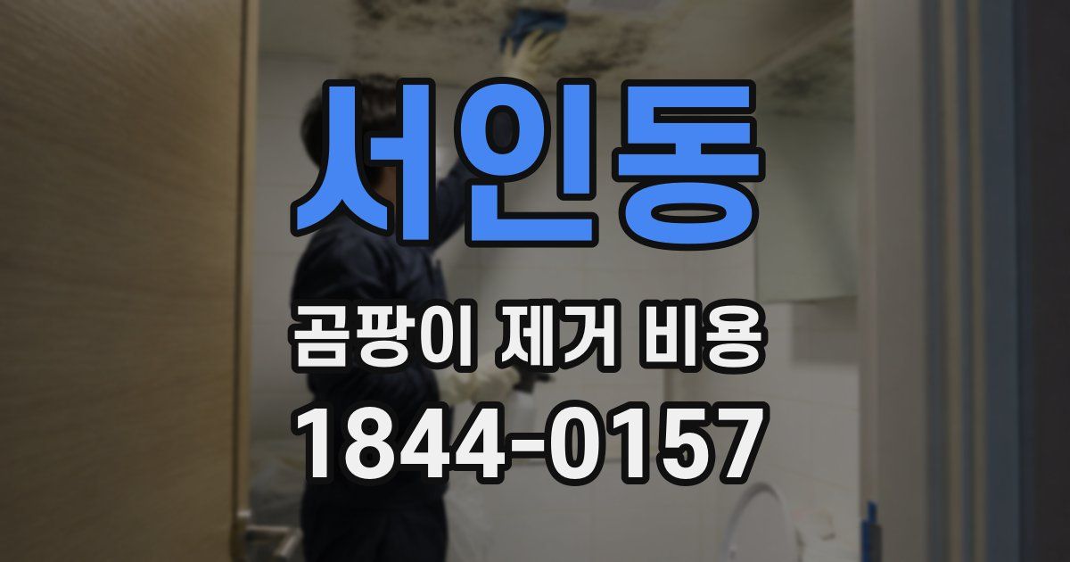 서인동 곰팡이 제거 비용