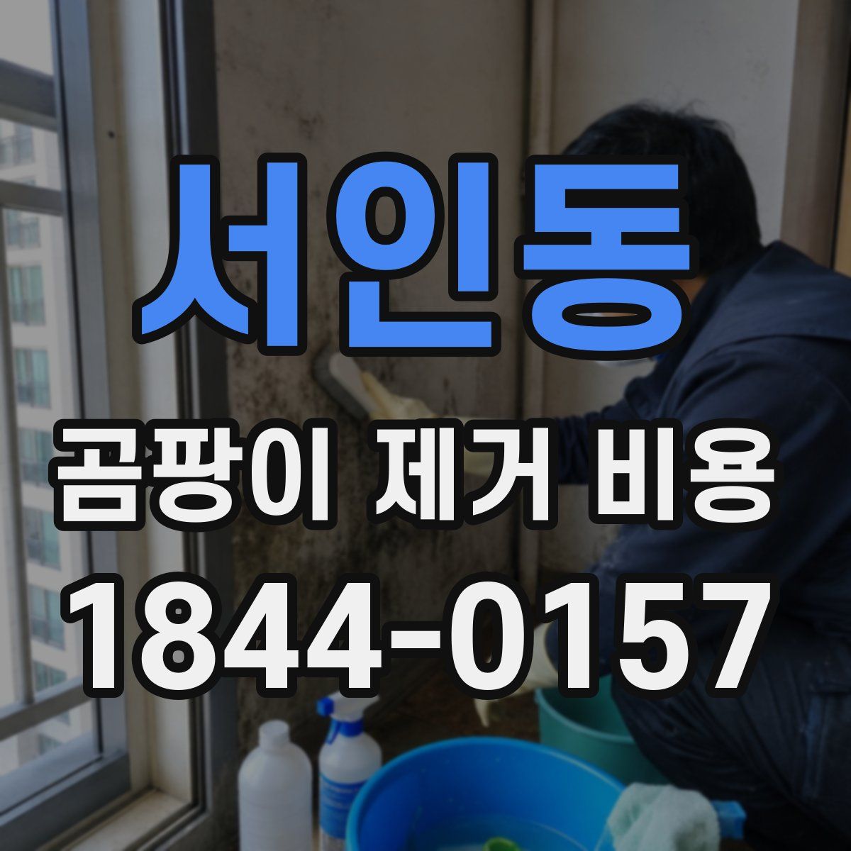서인동 곰팡이 제거 비용