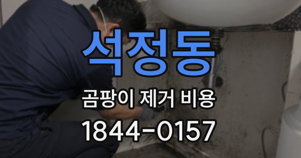 석정동 곰팡이 제거 비용