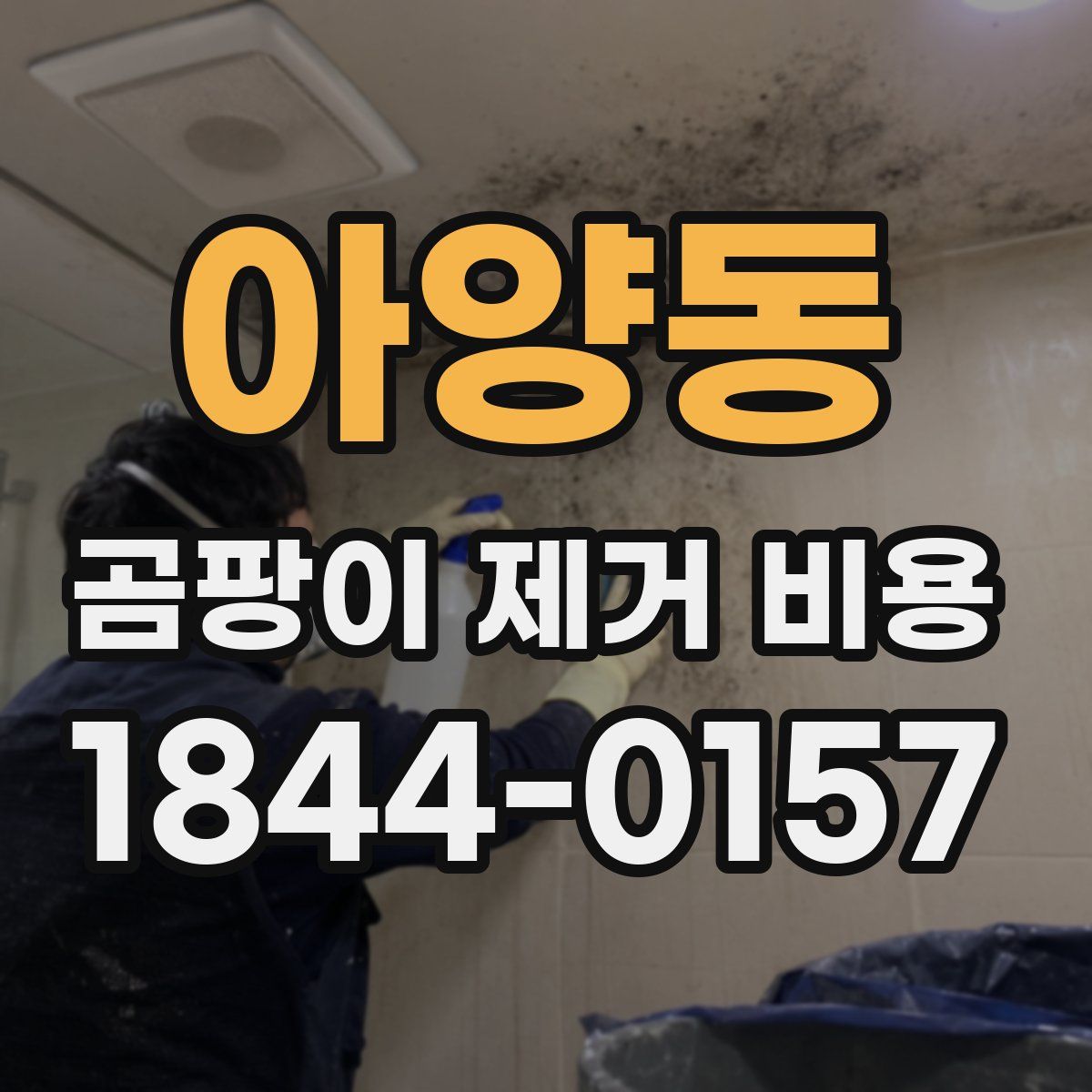 아양동 곰팡이 제거 비용