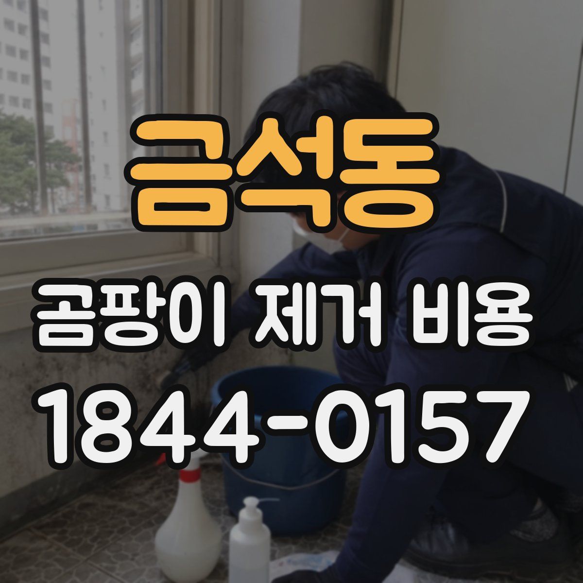 금석동 곰팡이 제거 비용