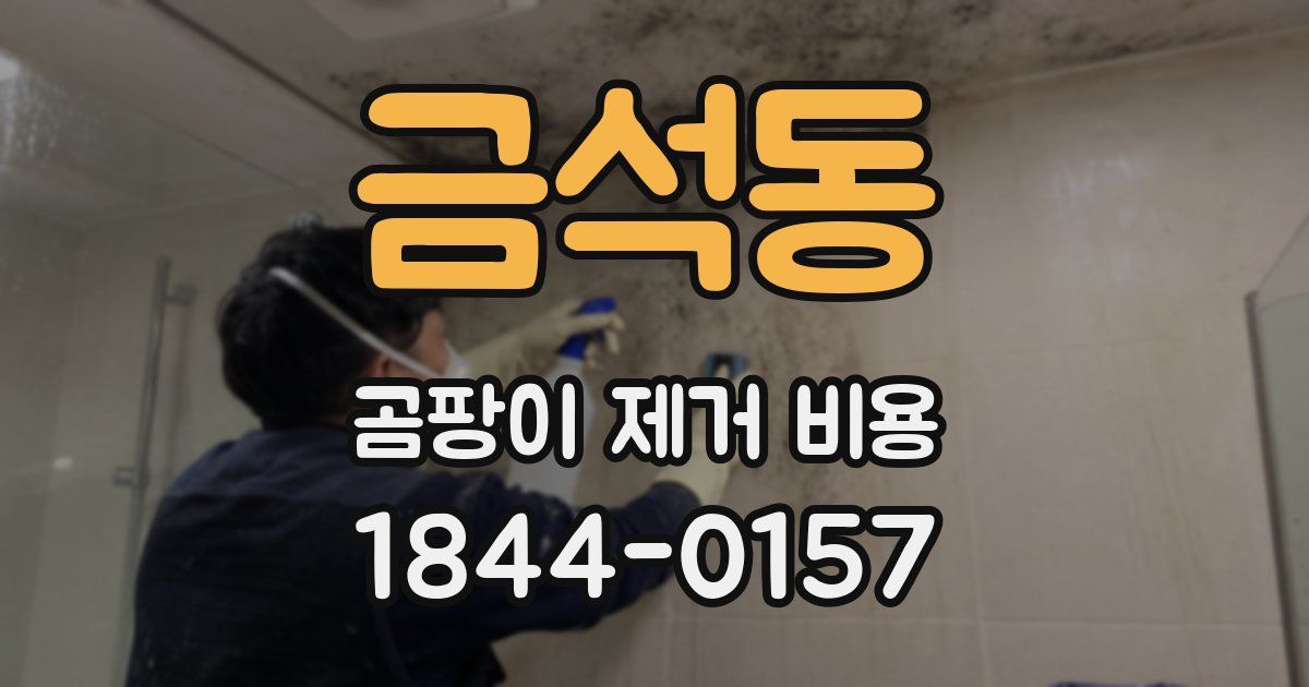 금석동 곰팡이 제거 비용