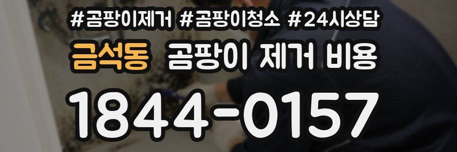 금석동 곰팡이 제거 비용