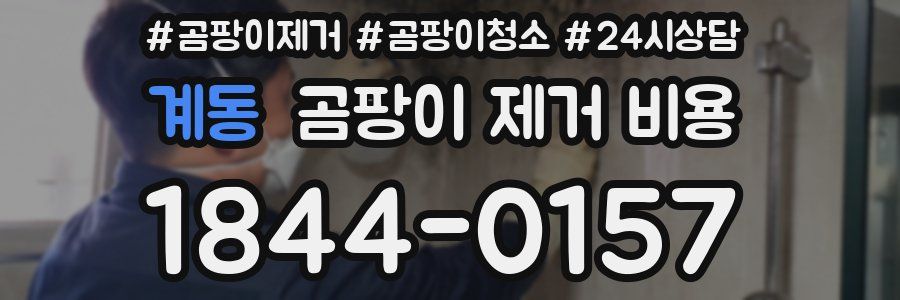 계동 곰팡이 제거 비용
