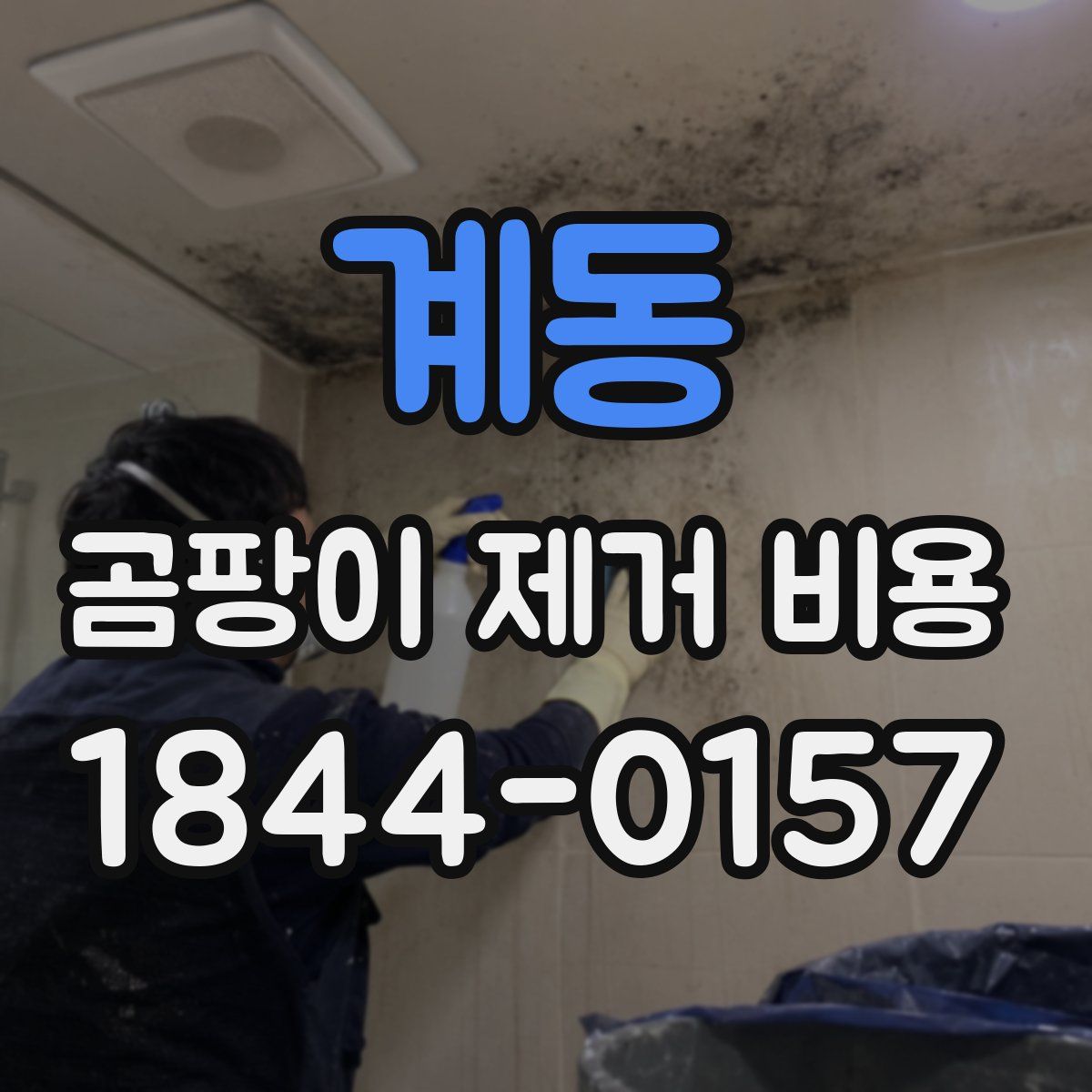 계동 곰팡이 제거 비용