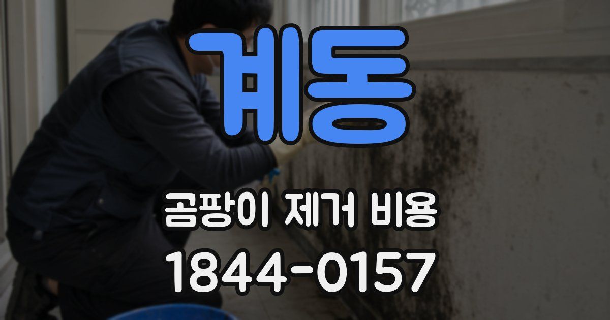 계동 곰팡이 제거 비용