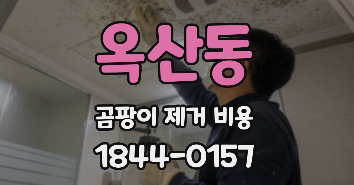 옥산동 곰팡이 제거 비용