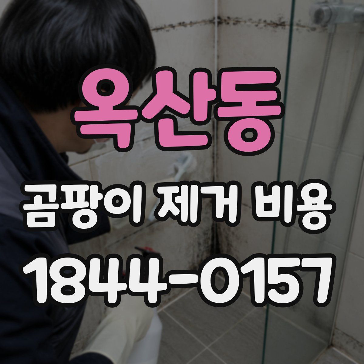 옥산동 곰팡이 제거 비용