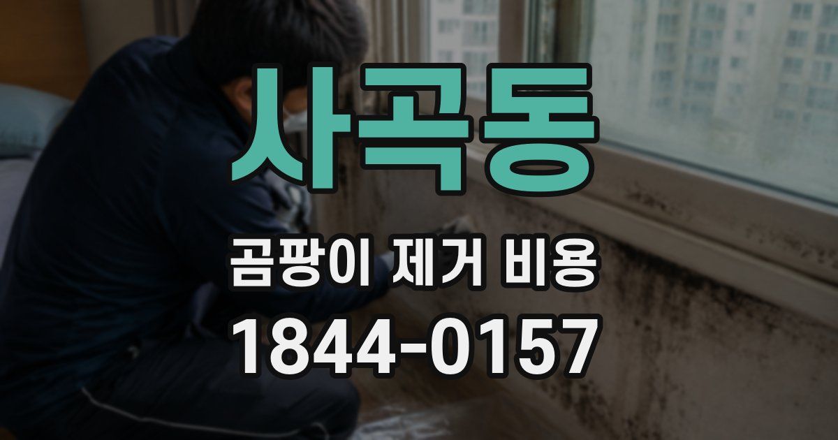 사곡동 곰팡이 제거 비용
