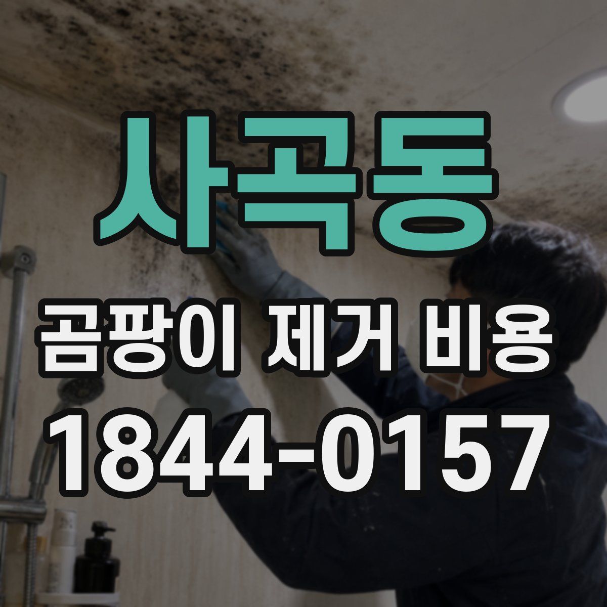 사곡동 곰팡이 제거 비용