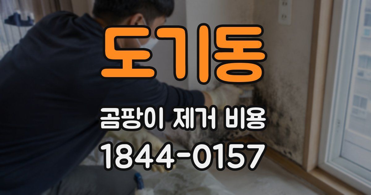 도기동 곰팡이 제거 비용
