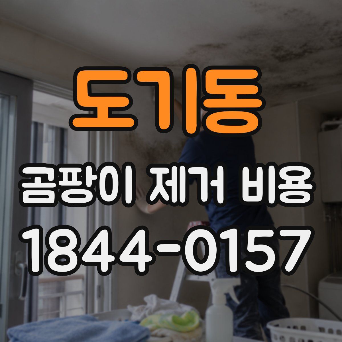 도기동 곰팡이 제거 비용