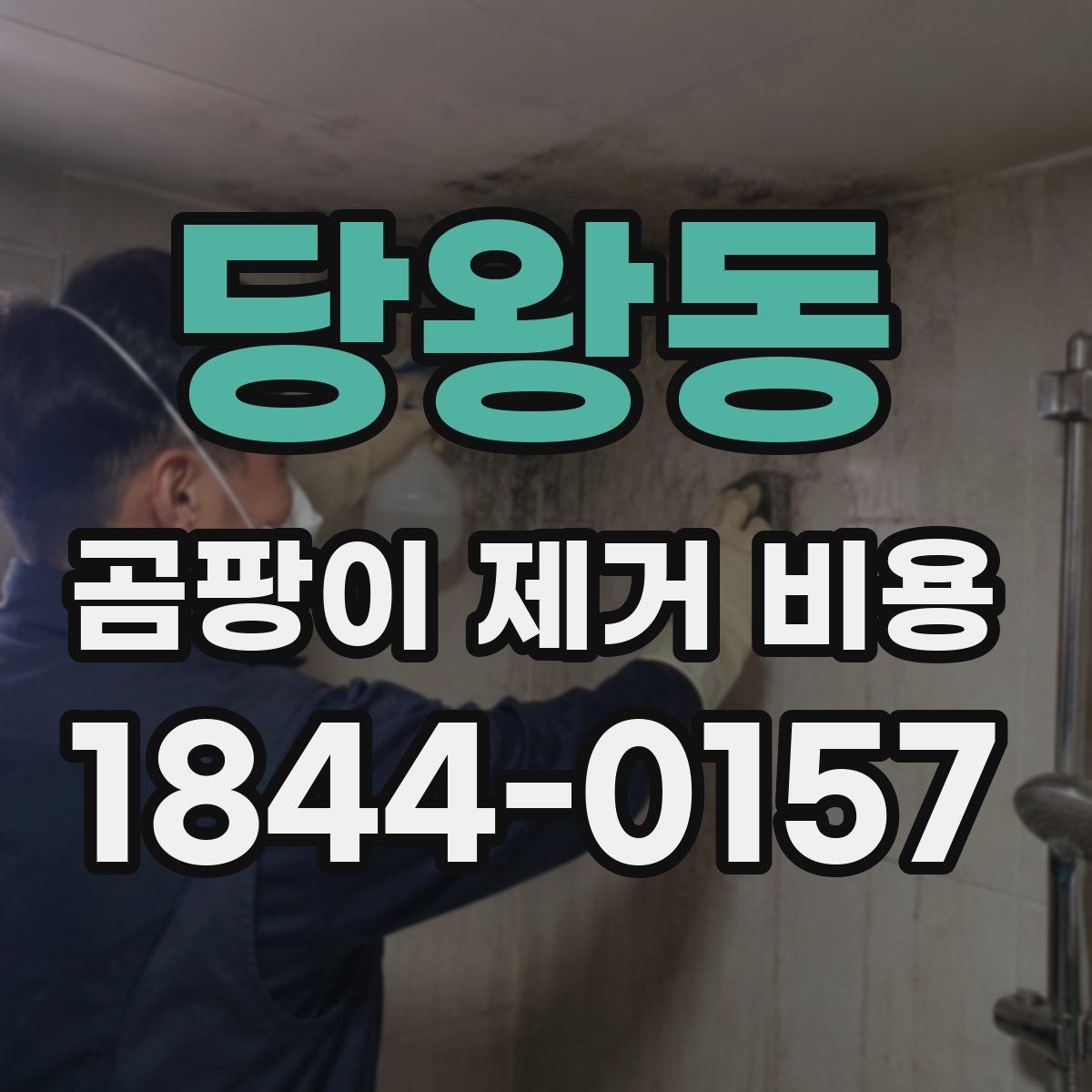 당왕동 곰팡이 제거 비용