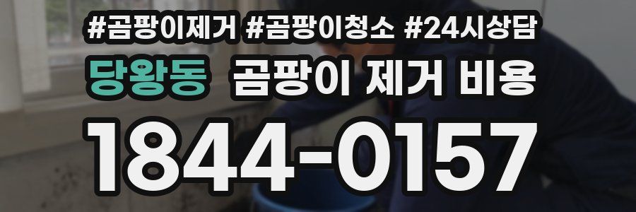 당왕동 곰팡이 제거 비용