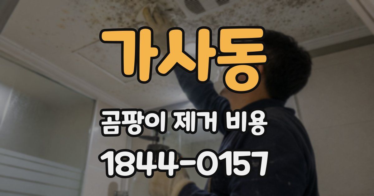 가사동 곰팡이 제거 비용