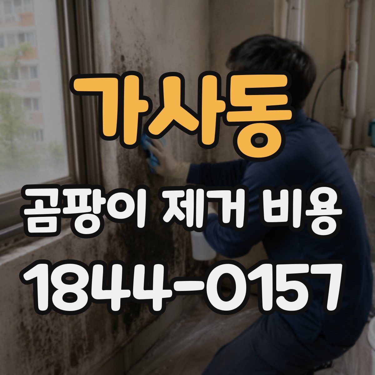 가사동 곰팡이 제거 비용