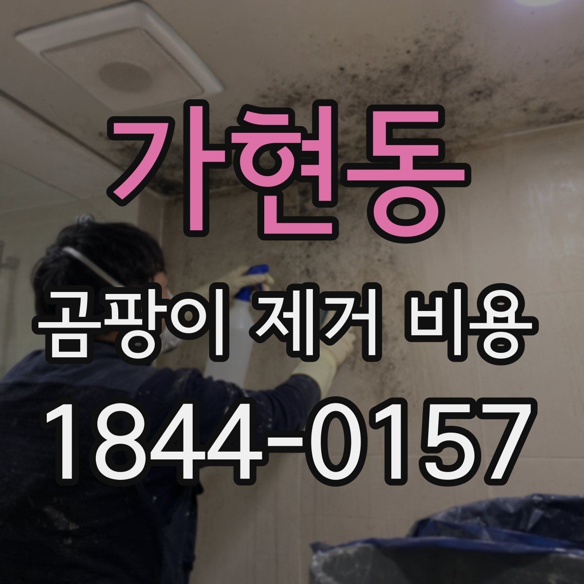 가현동 곰팡이 제거 비용 가전제품 주변 오염 처리 시 살펴볼 점