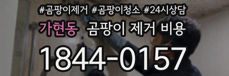 가현동 곰팡이 제거 비용