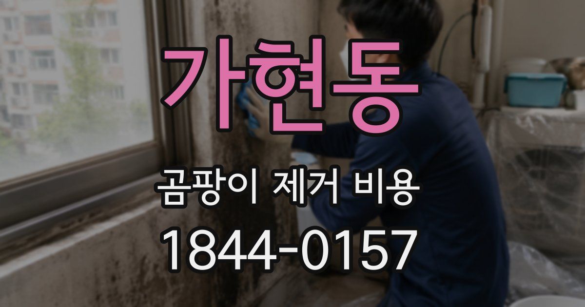 가현동 곰팡이 제거 비용