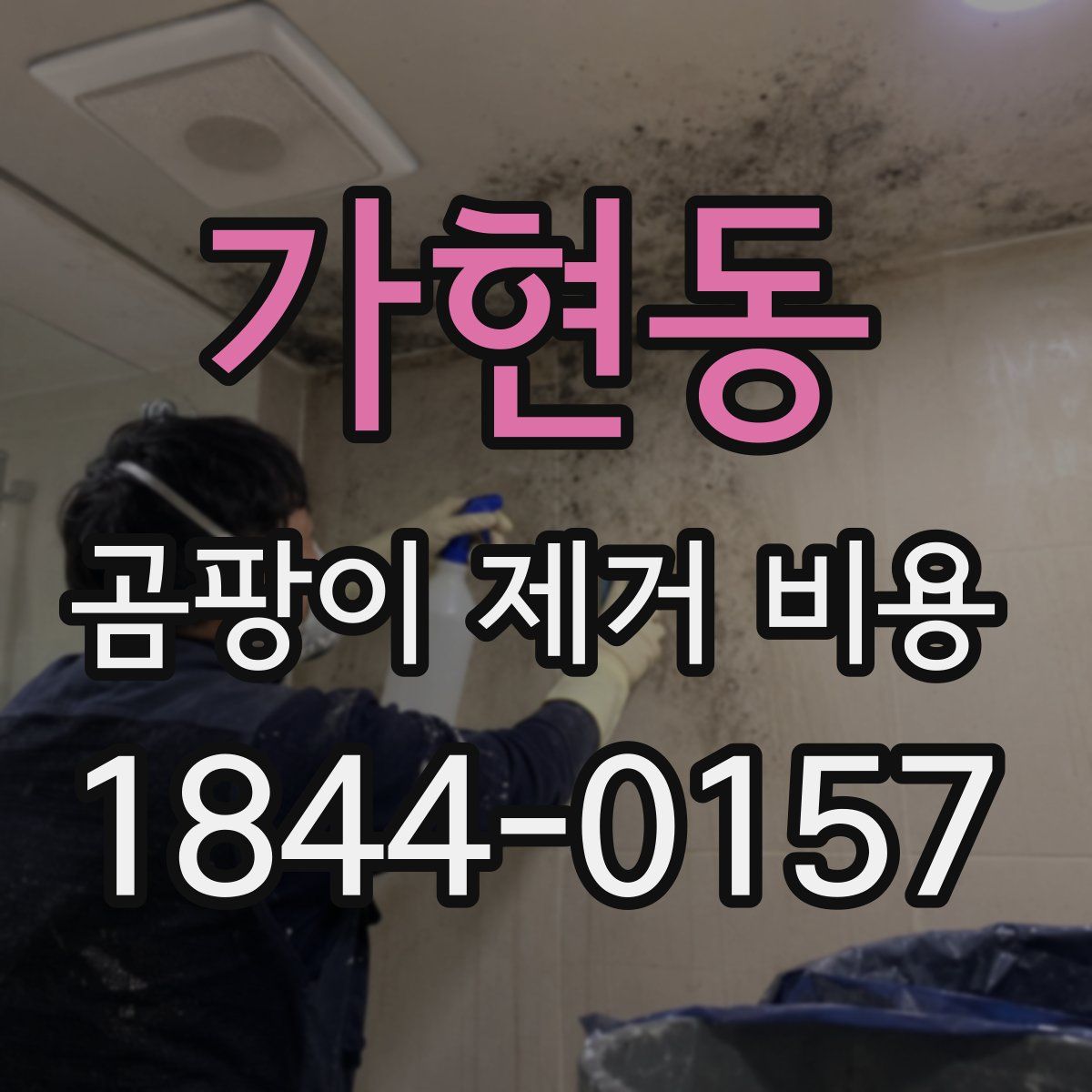 가현동 곰팡이 제거 비용