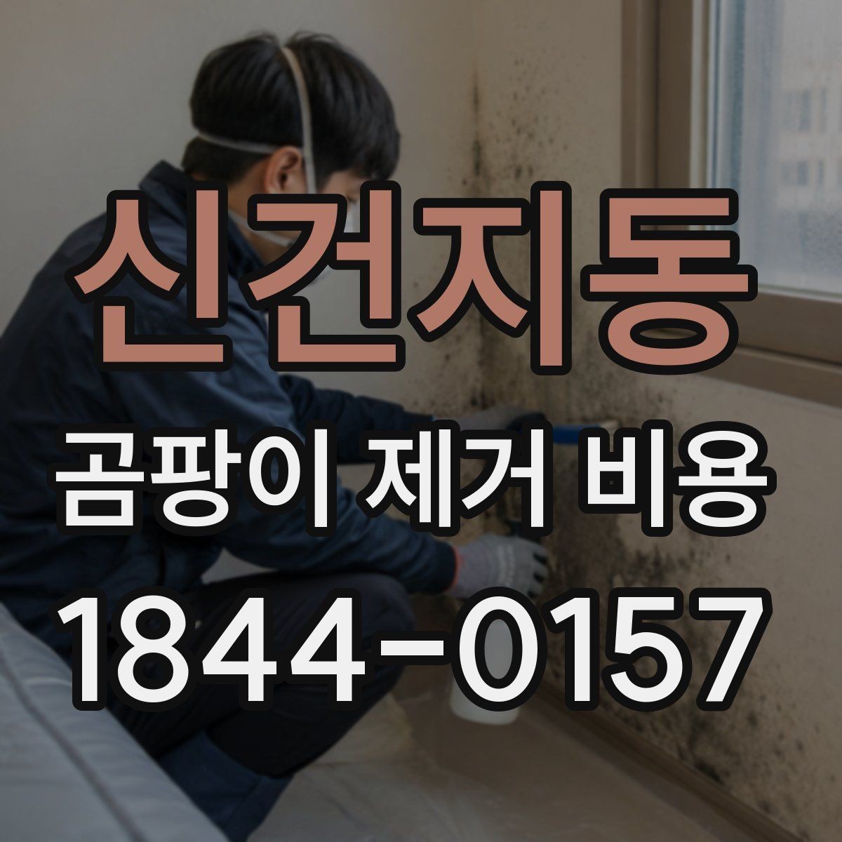 신건지동 곰팡이 제거 비용 방치 기간이 길수록 늘어나는 추가 항목