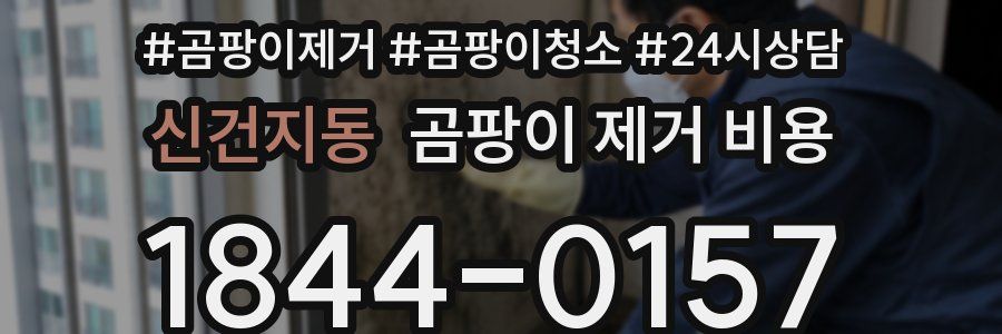 신건지동 곰팡이 제거 비용