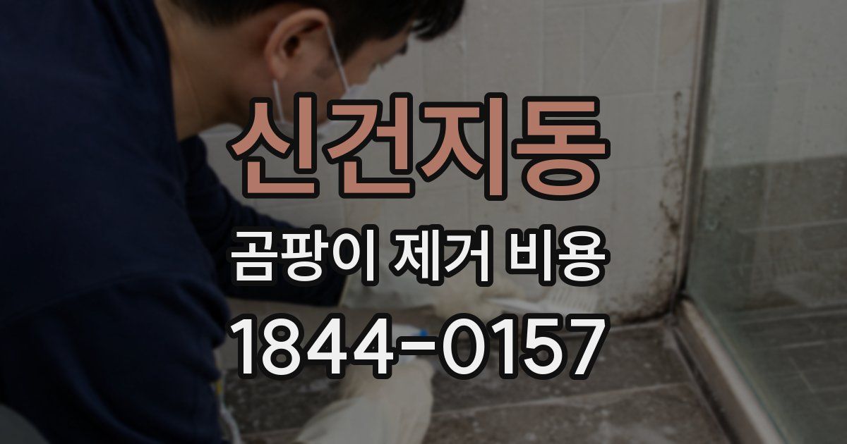 신건지동 곰팡이 제거 비용