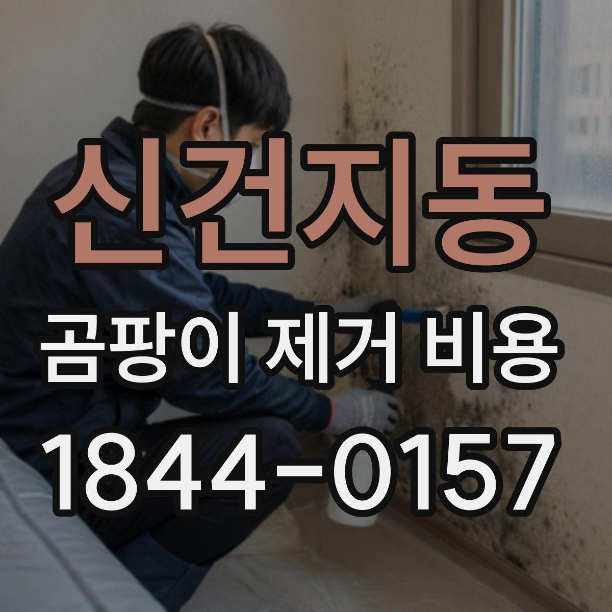 신건지동 곰팡이 제거 비용