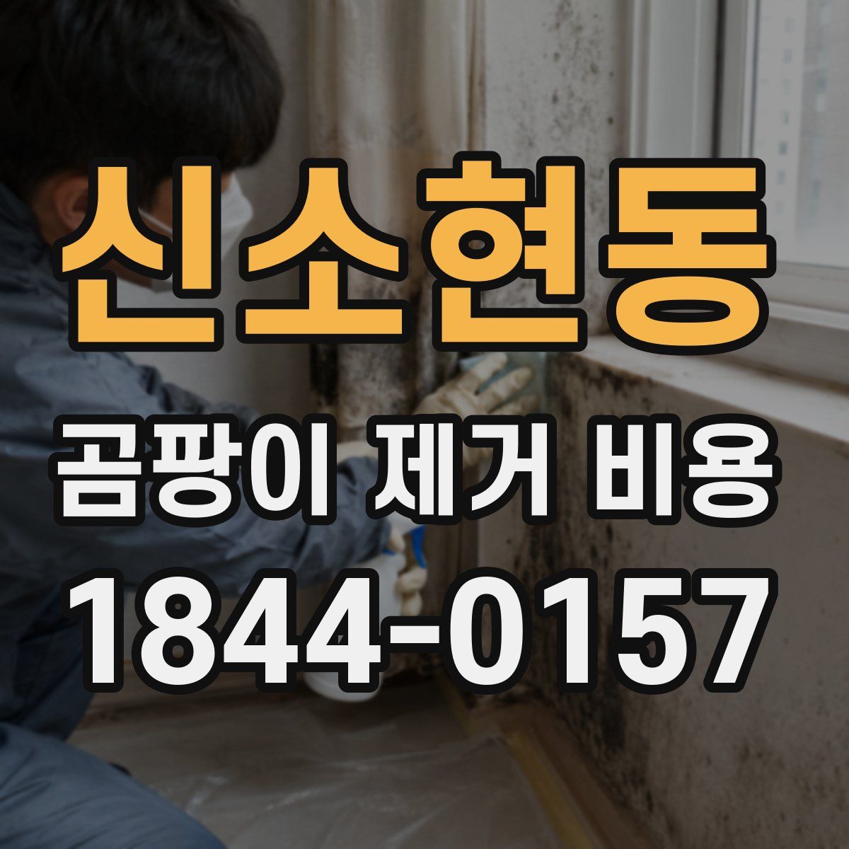신소현동 곰팡이 제거 비용