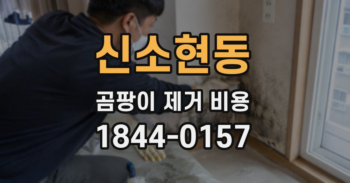 신소현동 곰팡이 제거 비용