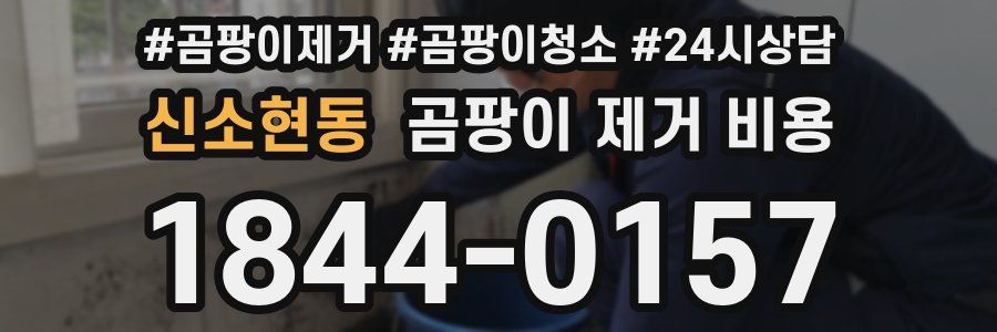 신소현동 곰팡이 제거 비용
