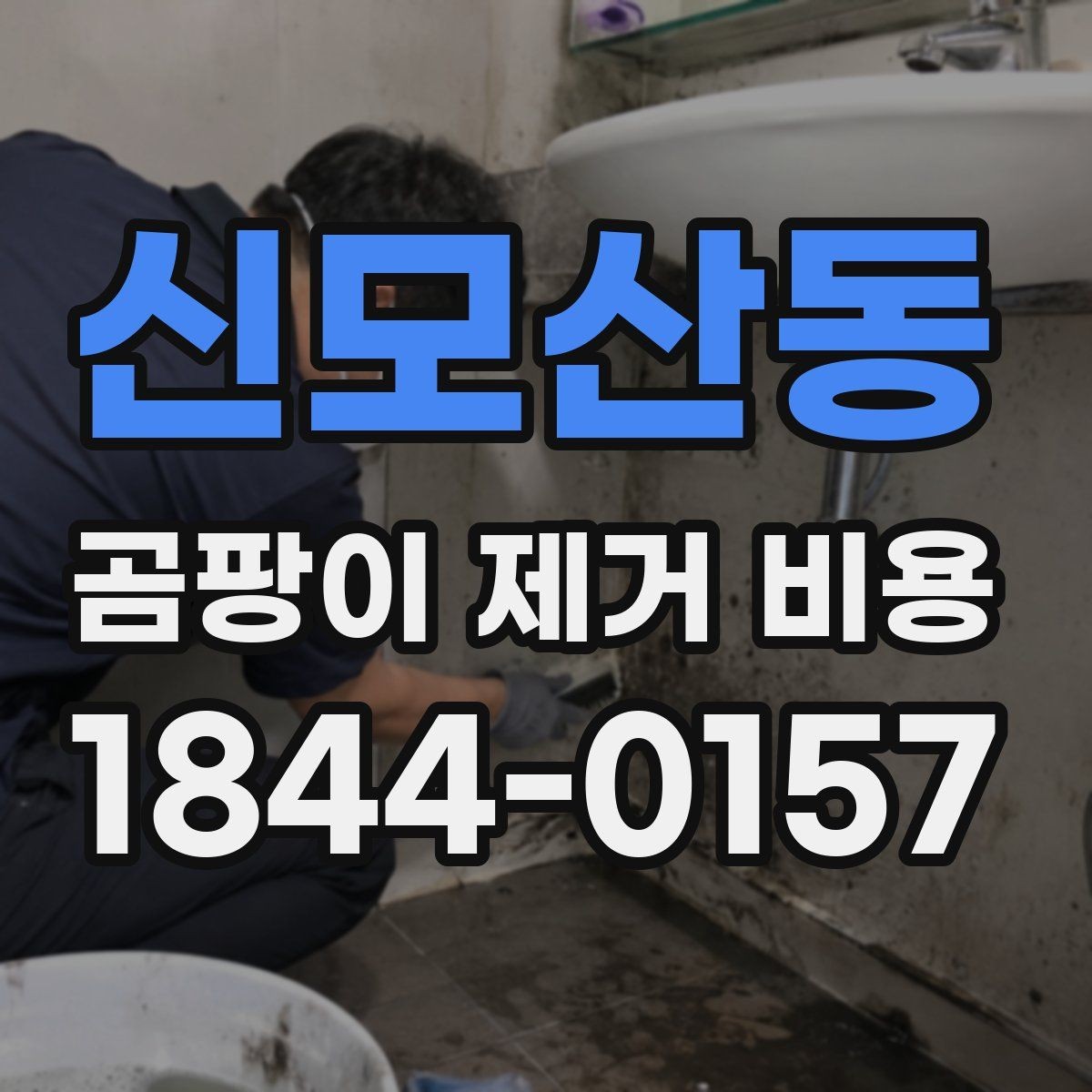 신모산동 곰팡이 제거 비용 오염 범위에 따라 달라지는 산정 방식
