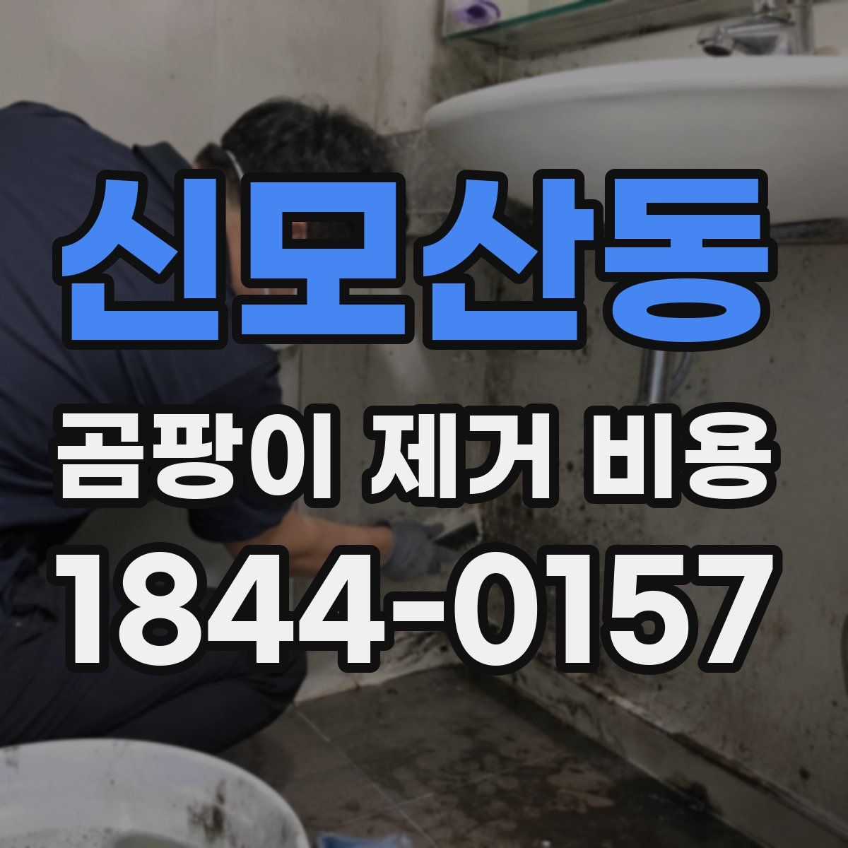 신모산동 곰팡이 제거 비용