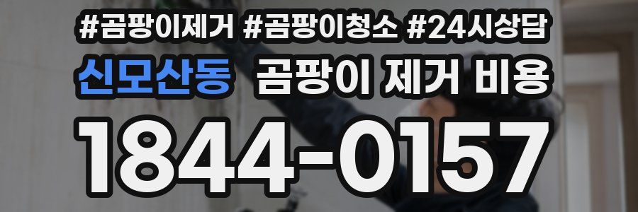 신모산동 곰팡이 제거 비용