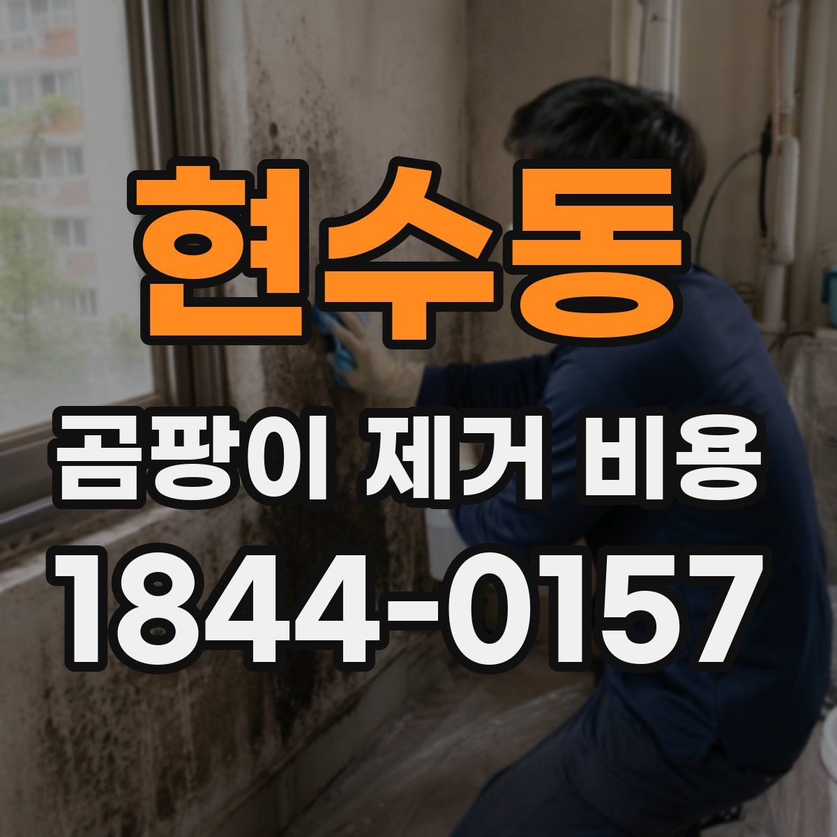 현수동 곰팡이 제거 비용