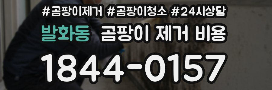 발화동 곰팡이 제거 비용