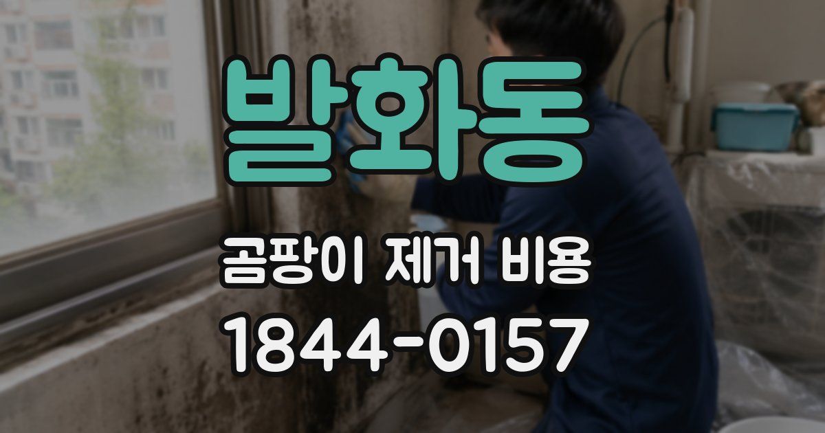 발화동 곰팡이 제거 비용