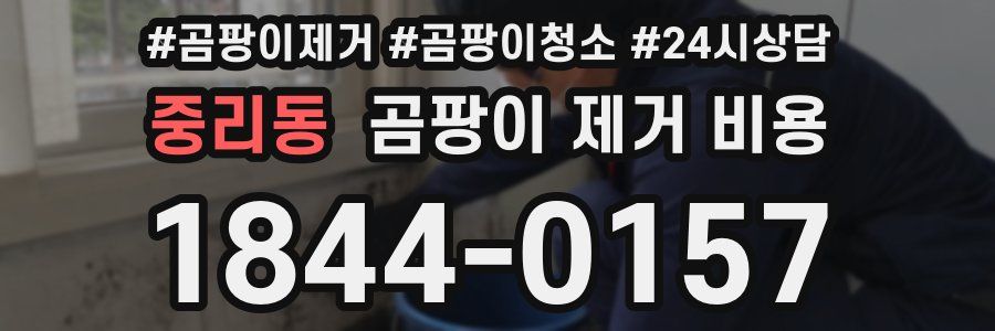중리동 곰팡이 제거 비용