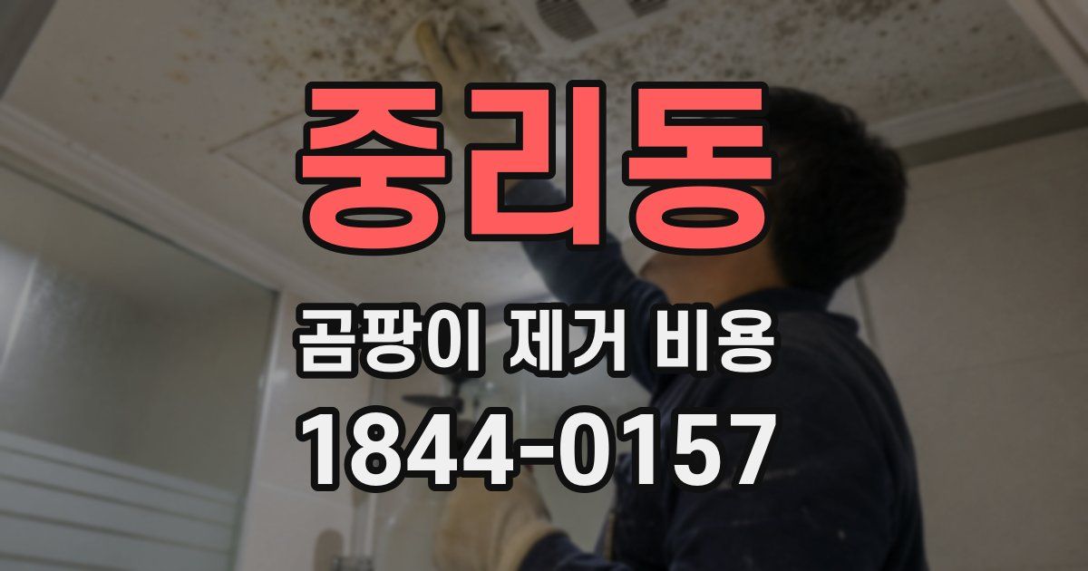 중리동 곰팡이 제거 비용