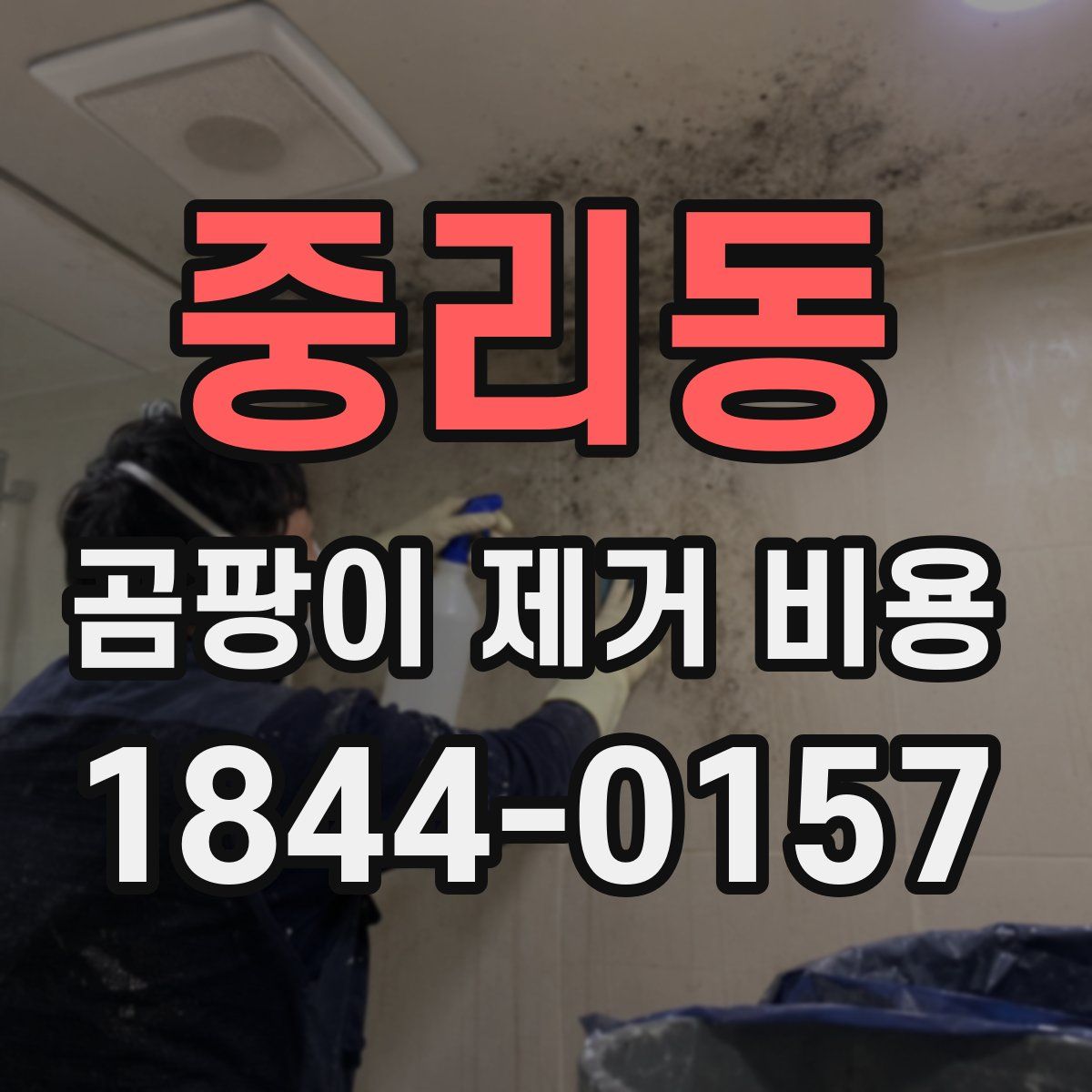 중리동 곰팡이 제거 비용