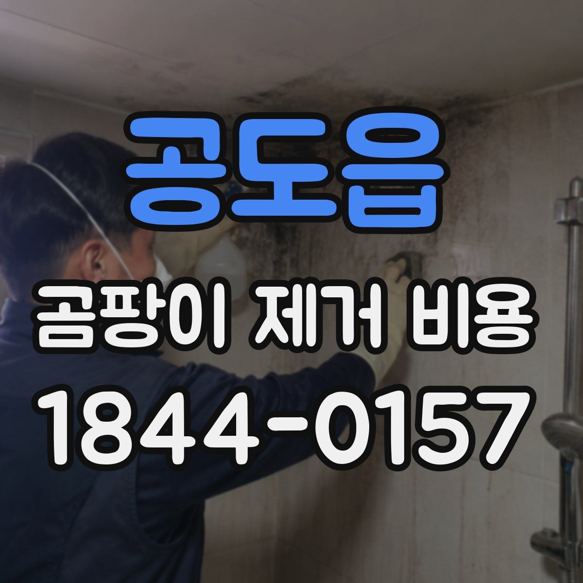 공도읍 곰팡이 제거 비용