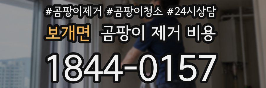 보개면 곰팡이 제거 비용