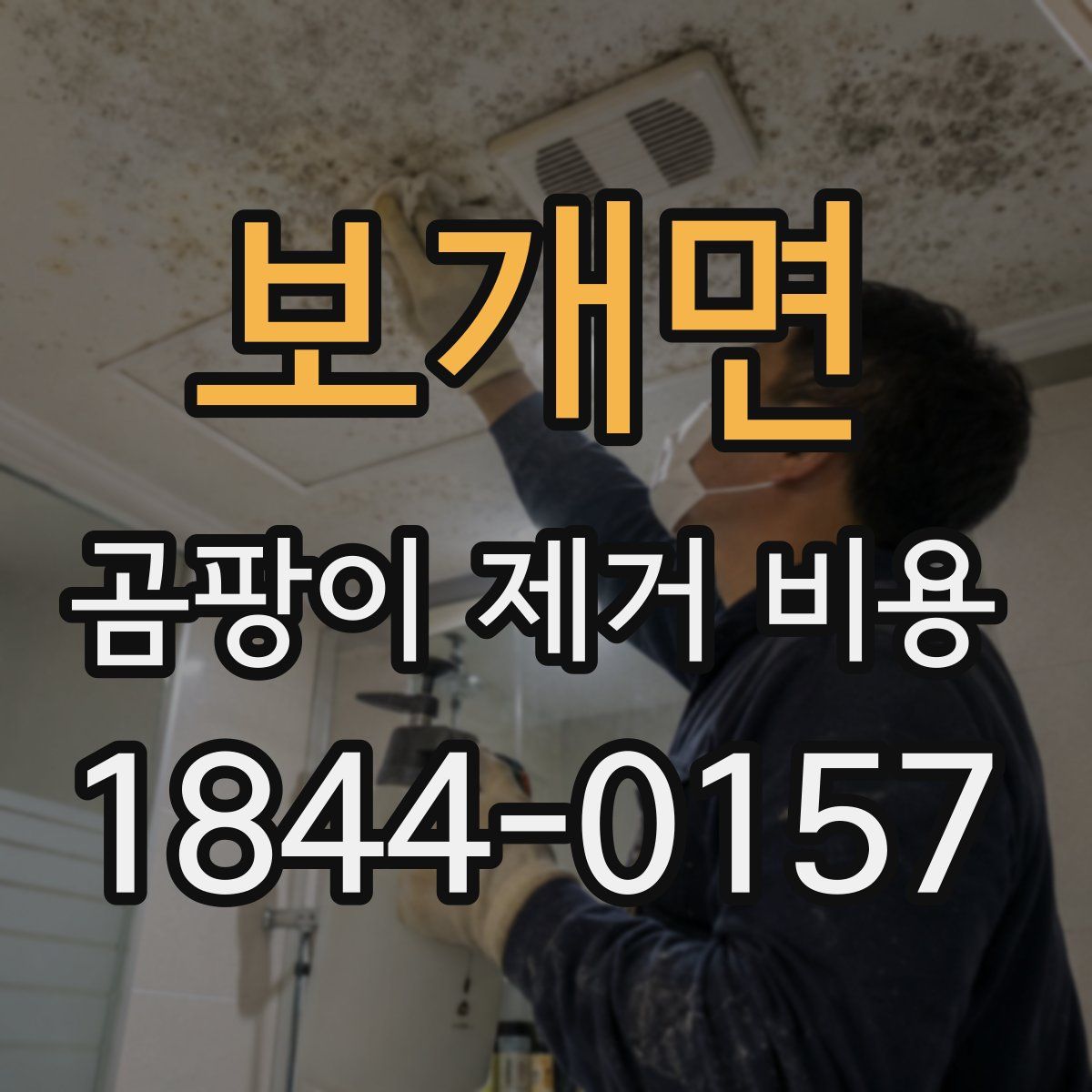 보개면 곰팡이 제거 비용