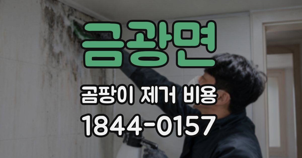 금광면 곰팡이 제거 비용
