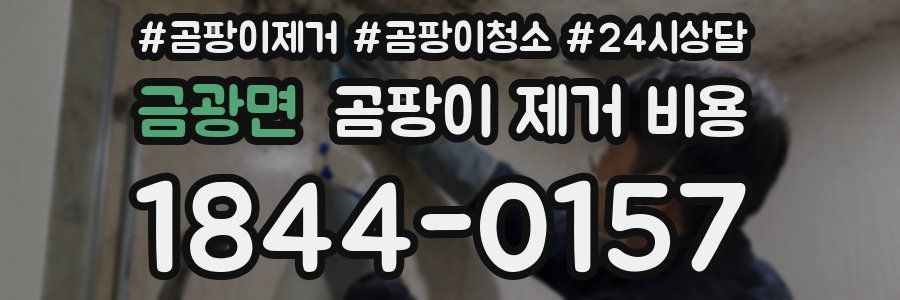 금광면 곰팡이 제거 비용