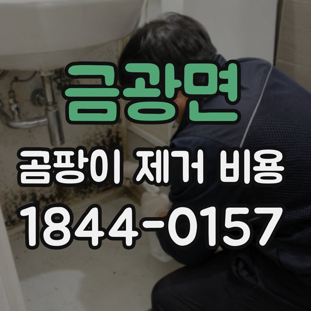금광면 곰팡이 제거 비용